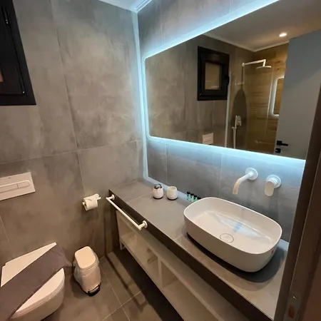 Mysarti * サルティ